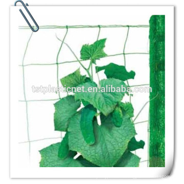 Duradero a prueba de pudrición Garden Plant Support Net 150x150mm para Beans and Peas Climbing